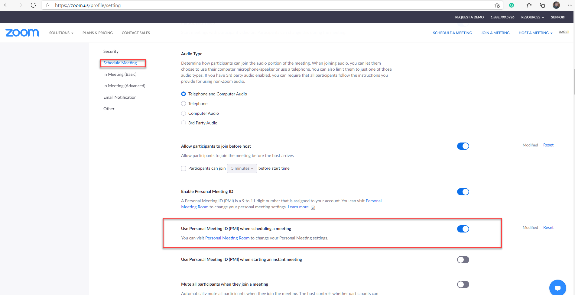 screenshot of Zoom settings