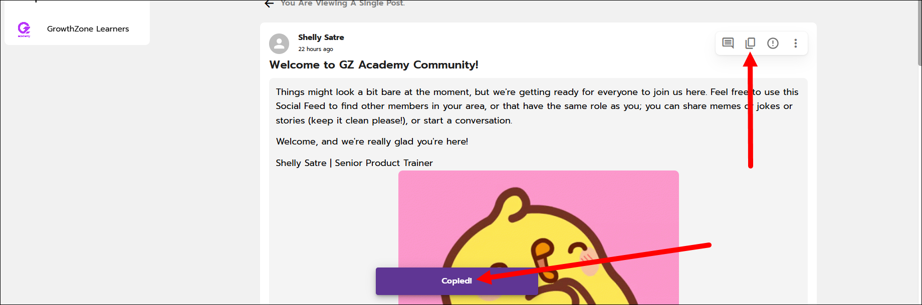 Copy1.png